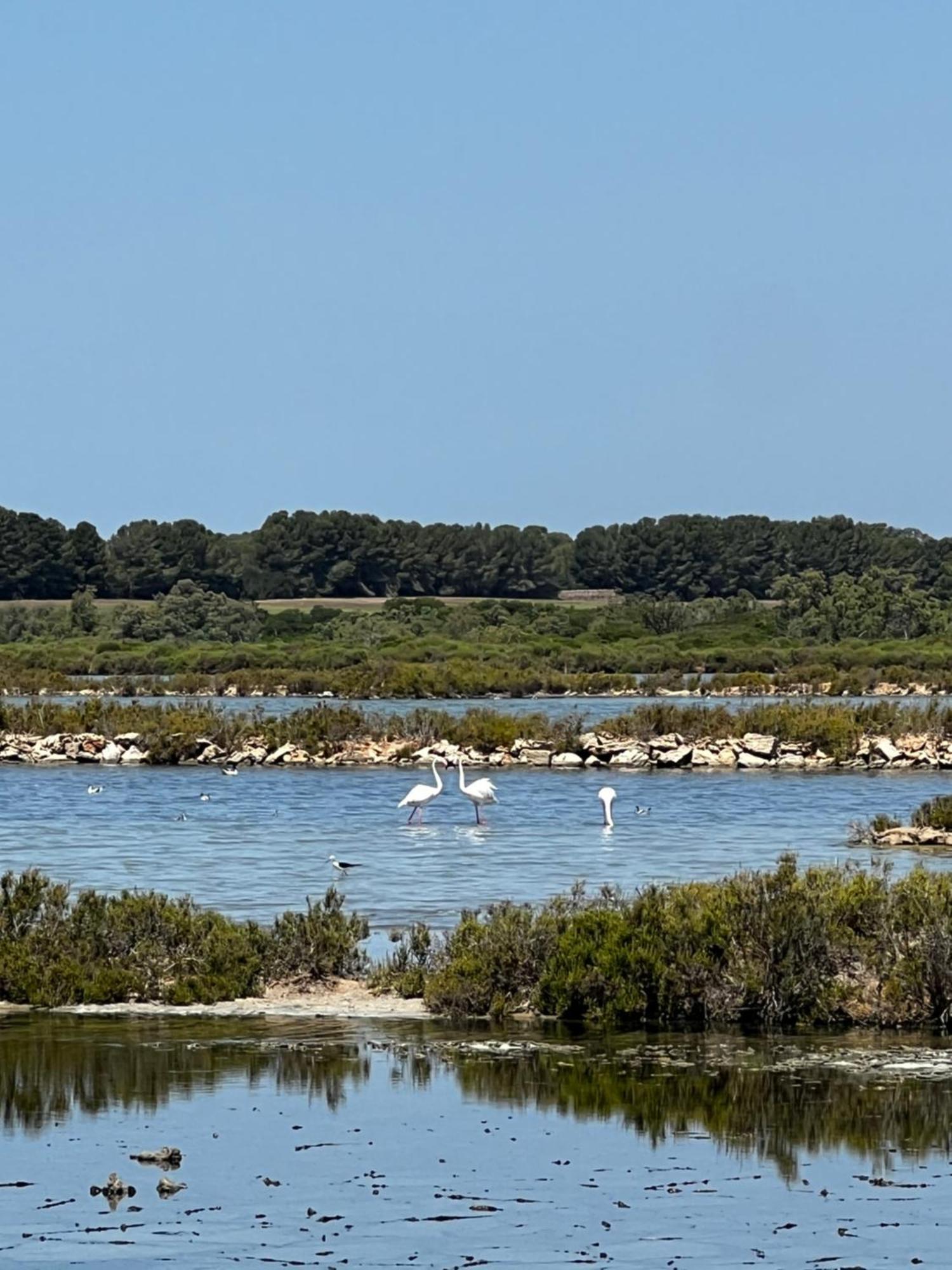 Sa Calma Marina A Tranquil Mediterranean Retreat Chalet *